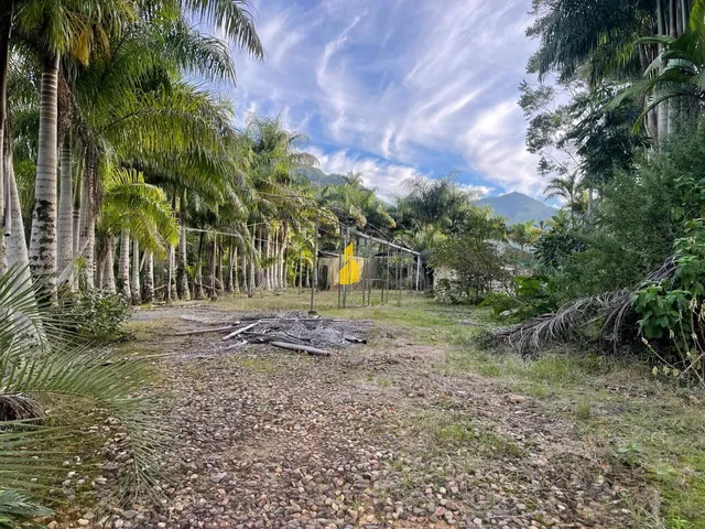 Imagem 2: Sítio À Venda em São Bernardo - Rio dos Cedros