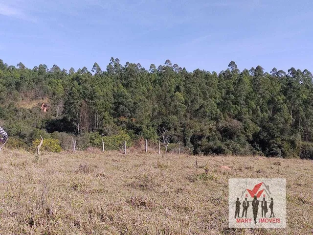 Imagem 5: Sítio À Venda no Bairro Centro - Caldas/Mg