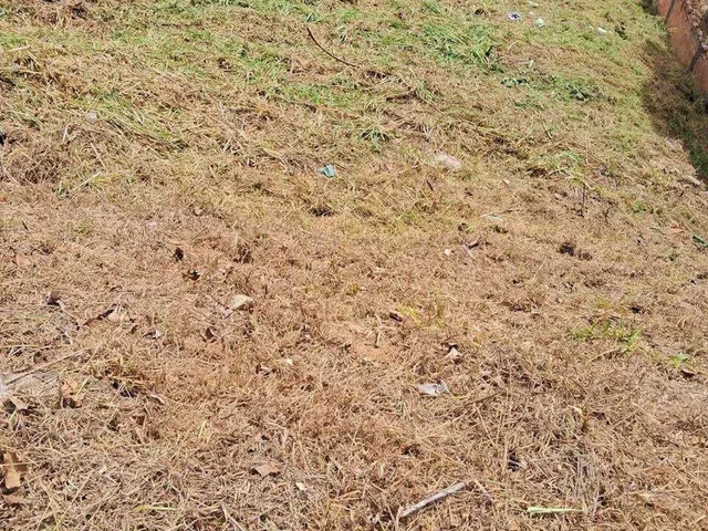 Imagem: Terreno À Venda em Poços de Caldas/Mg