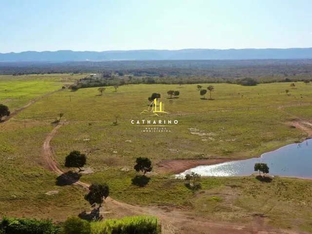 Imagem: Fazenda em Jangada/Mt
