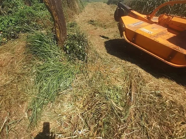 Imagem: Área À Venda no Bairro Zona Rural - Araguari/Mg