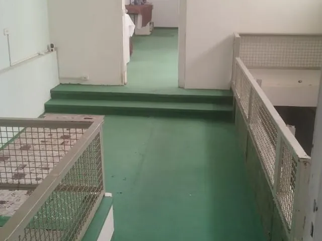 Imagem 9: Casa Comercial em São Paulo - São Paulo, Vila Mariana