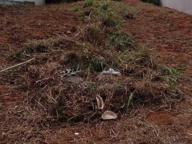 Imagem: Terreno À Venda no Bairro Villaggio Fosuzzi