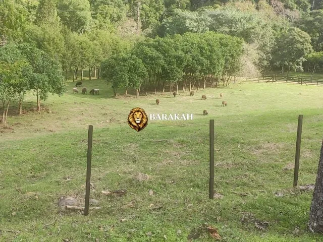 Imagem 11: Chácara À Venda no Bairro Centro - Forquetinha/Rs
