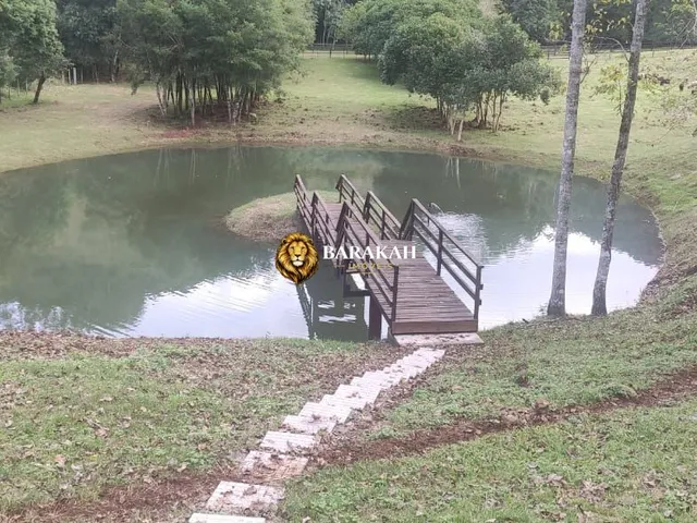 Imagem 15: Chácara À Venda no Bairro Centro - Forquetinha/Rs