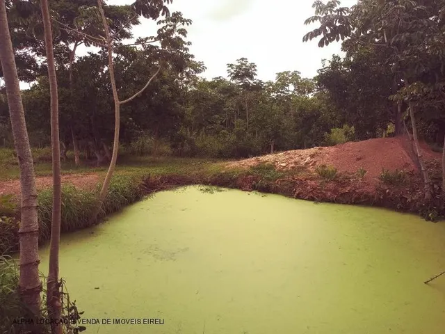 Imagem 6: Chácara de 2 quartos à venda em Cuiabá-MT, no bairro Pedra 90: espaço e conforto em