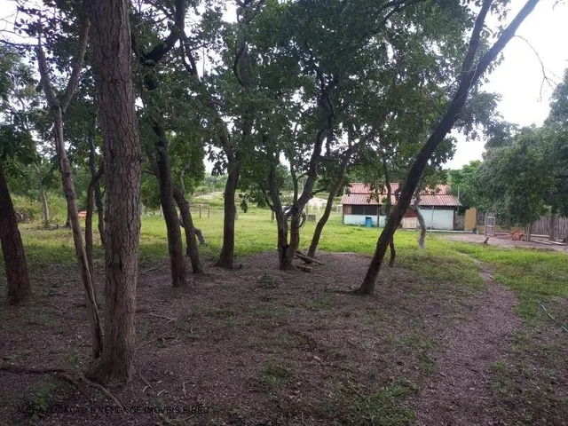 Imagem 3: Chácara de 2 quartos à venda em Cuiabá-MT, no bairro Pedra 90: espaço e conforto em