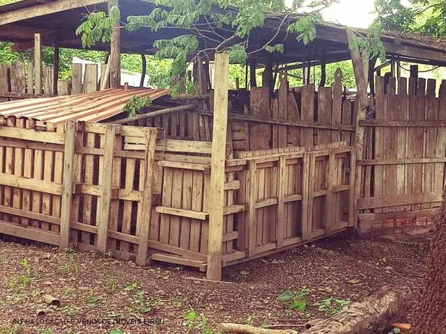 Imagem 7: Chácara de 2 quartos à venda em Cuiabá-MT, no bairro Pedra 90: espaço e conforto em