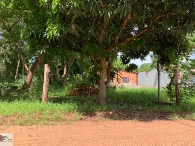 Imagem 3: Terreno à venda em Varginha Santo Antônio de Leverger-MT com 900m² de área!