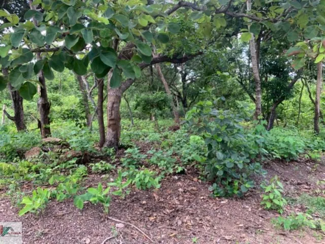 Imagem 2: Terreno à venda em Santo Antônio do Leverger-MT, bairro Varginha, 510,00 m² de área