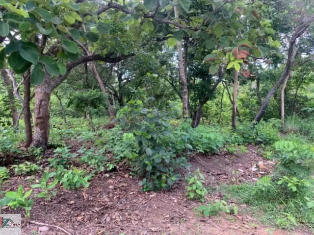 Imagem 3: Terreno à venda em Santo Antônio do Leverger-MT, bairro Varginha, 510,00 m² de área