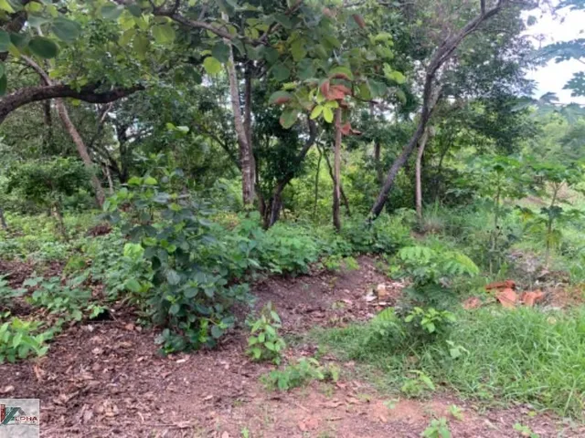 Imagem 4: Terreno à venda em Santo Antônio do Leverger-MT, bairro Varginha, 510,00 m² de área