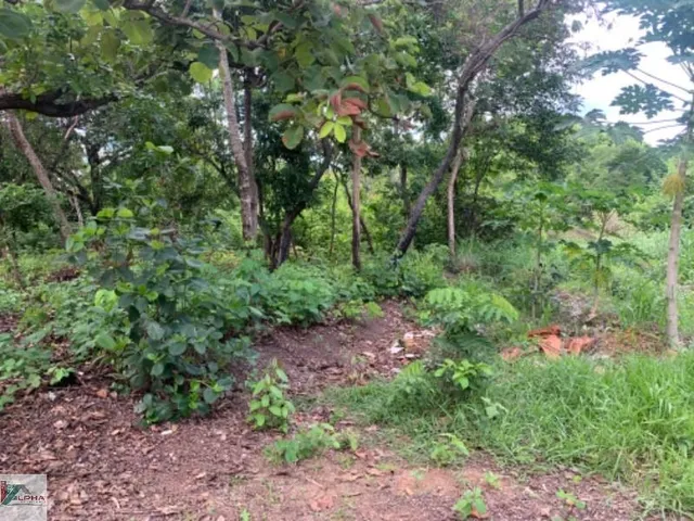Imagem 7: Terreno à venda em Santo Antônio do Leverger-MT, bairro Varginha, 510,00 m² de área