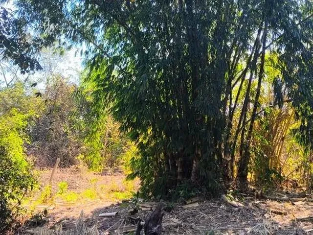 Imagem 6: Chácara à venda em Cuiabá-MT, no Assentamento Gamaliel: 2 quartos, 2 suítes, sala, 2