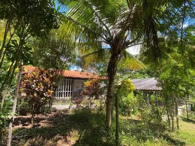 Imagem 14: CHACARA RURAL em Acorizal - Mato Grosso