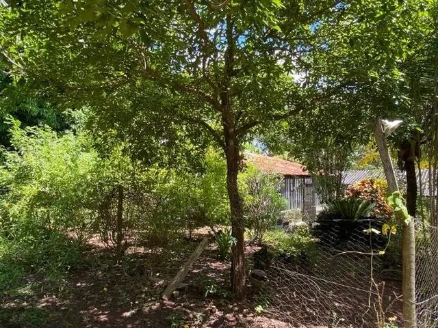 Imagem 15: CHACARA RURAL em Acorizal - Mato Grosso