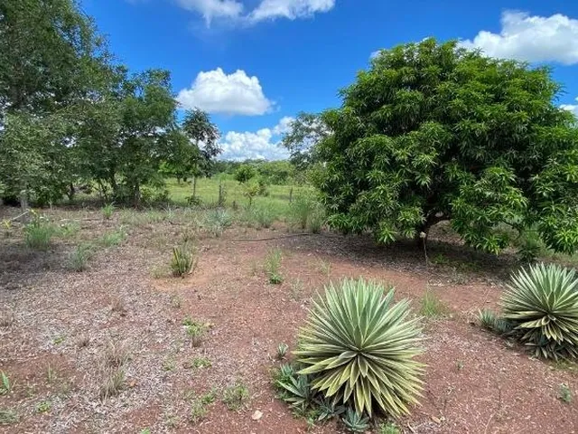 Imagem 5: CHACARA RURAL em Acorizal - Mato Grosso