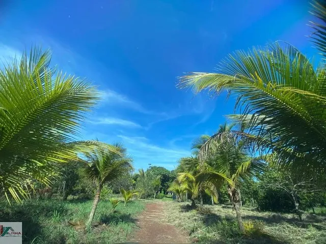 Imagem 6: CHACARA RURAL em Acorizal - Mato Grosso