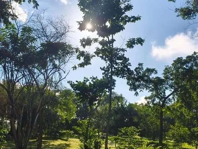 Imagem 7: CHACARA RURAL em Rosário Oeste - Mato Grosso