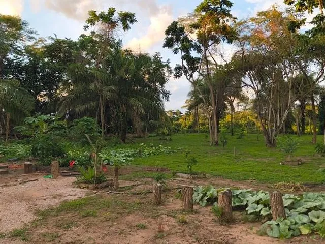 Imagem 12: CHACARA RURAL em Rosário Oeste - Mato Grosso
