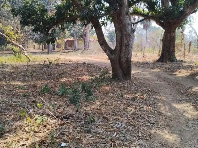 Imagem 14: Chácara de 2 quartos à venda em Varginha-MT, bairro Varginha. 100m², 20 vagas. Confira!