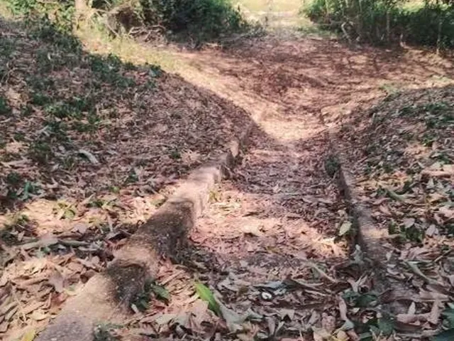 Imagem 2: Chácara de 2 quartos à venda em Varginha-MT, bairro Varginha. 100m², 20 vagas. Confira!