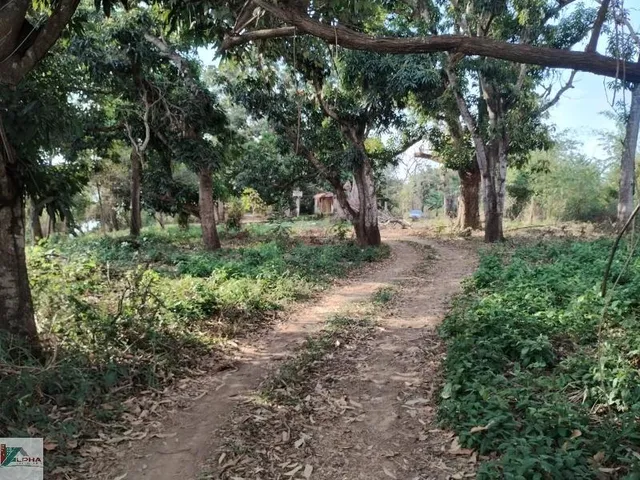 Imagem 7: Chácara de 2 quartos à venda em Varginha-MT, bairro Varginha. 100m², 20 vagas. Confira!