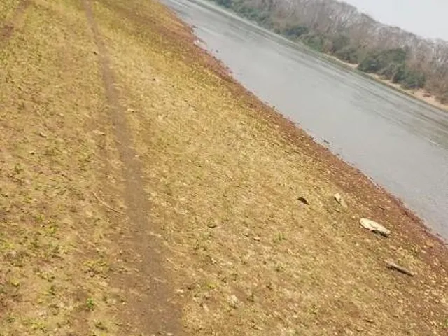Imagem 8: Chácara de 2 quartos à venda em Varginha-MT, bairro Varginha. 100m², 20 vagas. Confira!