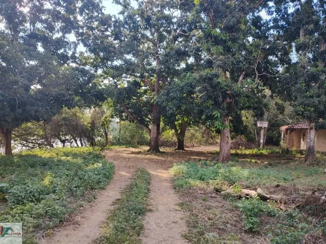 Imagem 13: Chácara de 2 quartos à venda em Varginha-MT, bairro Varginha. 100m², 20 vagas. Confira!