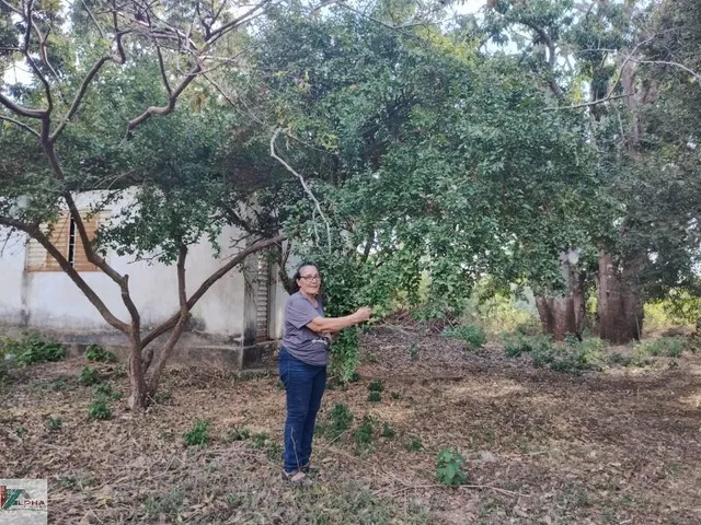 Imagem 12: Chácara de 2 quartos à venda em Varginha-MT, bairro Varginha. 100m², 20 vagas. Confira!