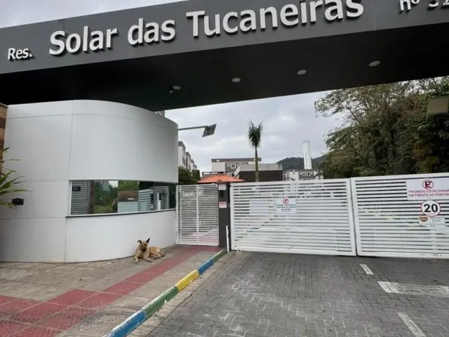 Imagem 4: Apartamento com Terraço para Venda em Camboriú / Sc no Bairro Rio Pequeno