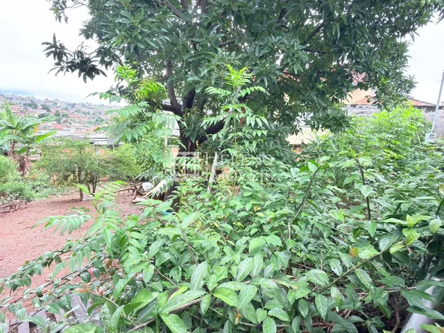 Imagem 13: Terreno Lote em Bairro Gávea Ii, Vespasiano/Mg
