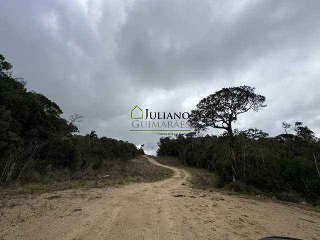 Imagem 9: Terreno à venda em Rancho Queimado-SC, Morro Chato, com 20.000,00 m² de área - Ótima