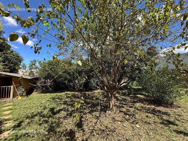 Imagem 11: Casa Guará Park 5 Quartos 3 Suítes, quintal com pomares frutíferos