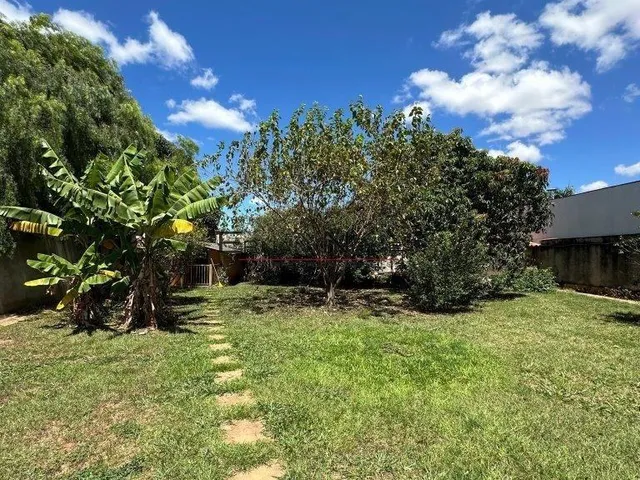 Imagem 4: Casa Guará Park 5 Quartos 3 Suítes, quintal com pomares frutíferos