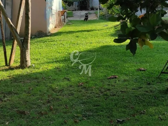 Imagem: Chácara com Muito Verde na Roseira