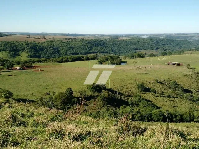 Imagem: FAZENDA COM 90 ALQUEIRES EM GUARANIAÇU