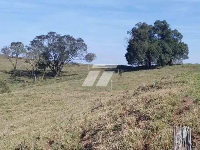 Imagem 5: FAZENDA COM 90 ALQUEIRES EM GUARANIAÇU- PR