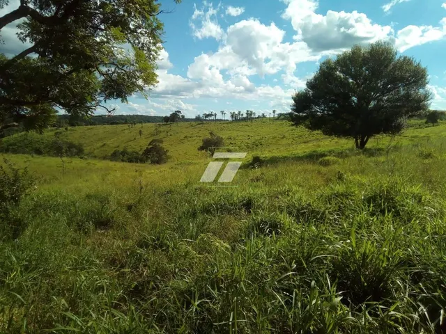 Imagem 4: FAZENDA COM 90 ALQUEIRES EM GUARANIAÇU- PR
