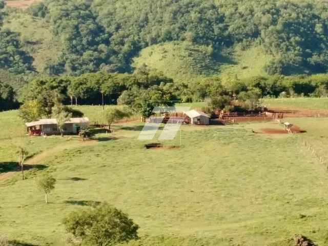 Imagem 6: FAZENDA COM 90 ALQUEIRES EM GUARANIAÇU- PR