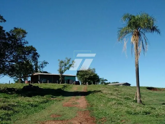 Imagem 3: FAZENDA COM 90 ALQUEIRES EM GUARANIAÇU- PR