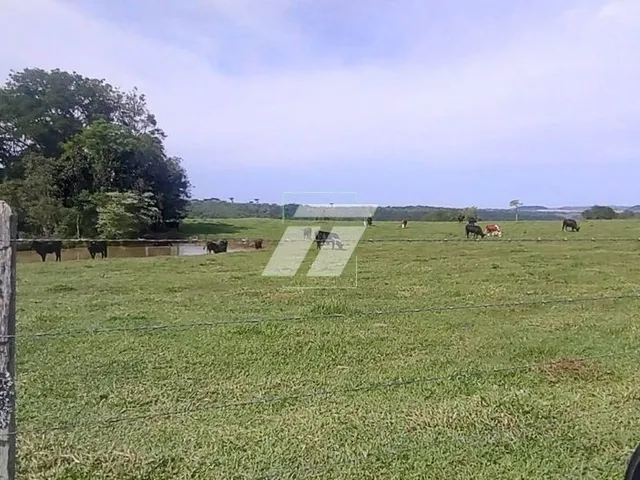 Imagem 7: FAZENDA COM 90 ALQUEIRES EM GUARANIAÇU- PR