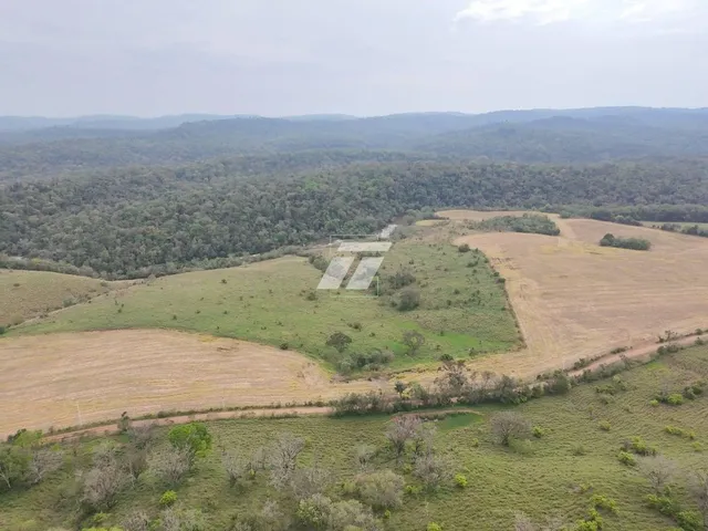 Imagem: Área rural de aproximadamente 65 Alqueires