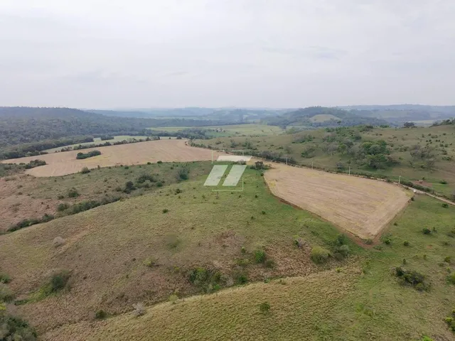 Imagem 6: Área rural de aproximadamente 65 Alqueires