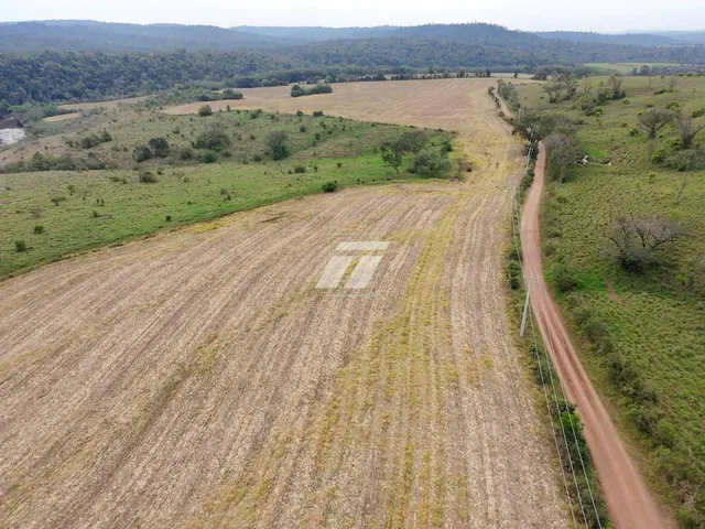 Imagem 3: Área rural de aproximadamente 65 Alqueires
