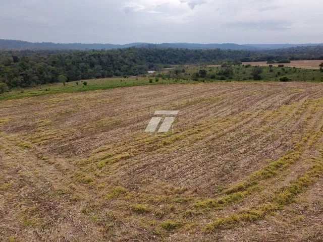 Imagem 14: Área rural de aproximadamente 65 Alqueires