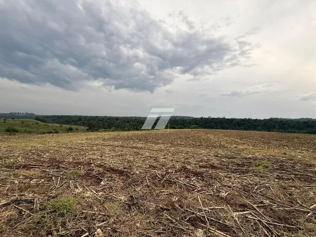 Imagem 10: Área rural de aproximadamente 65 Alqueires