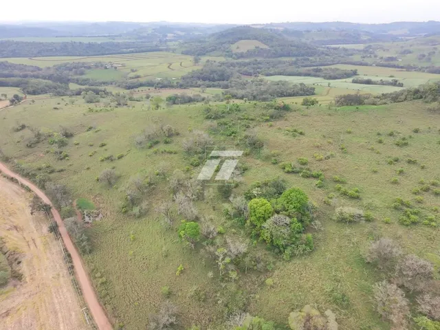 Imagem 11: Área rural de aproximadamente 65 Alqueires