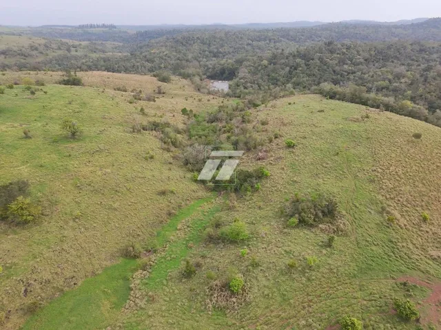 Imagem 4: Área rural de aproximadamente 65 Alqueires