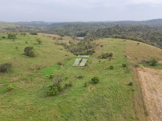 Imagem 5: Área rural de aproximadamente 65 Alqueires